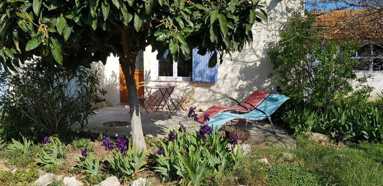 Petite maison refaite à neuf dans mas du 19ème siècle Arles Exterior foto